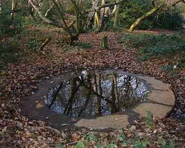 The Birch Well, Snaresbrook
