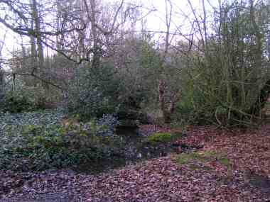 The Birch Well, Snaresbrook