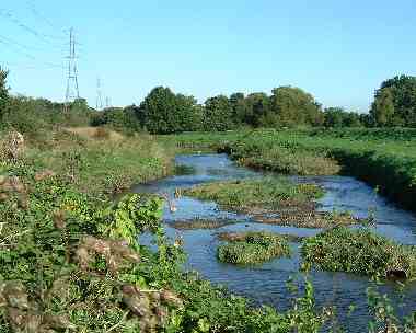 THe River Roding